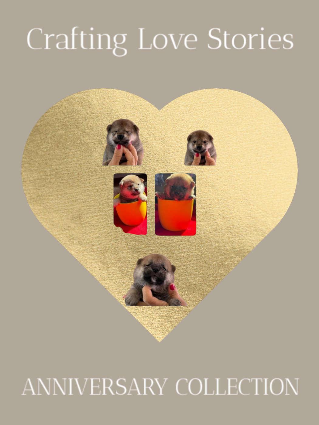 Naissance le 16 février 2026