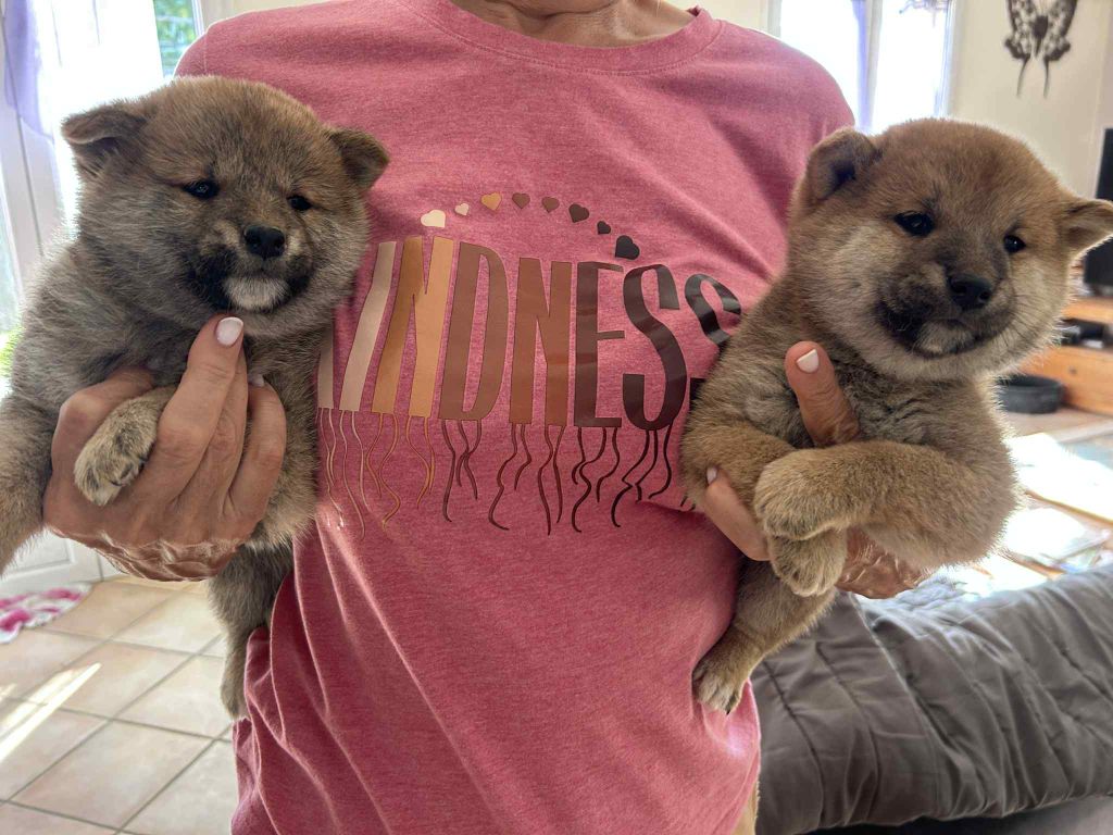 des jardins de jade - Naissance le  2 septembre 2025